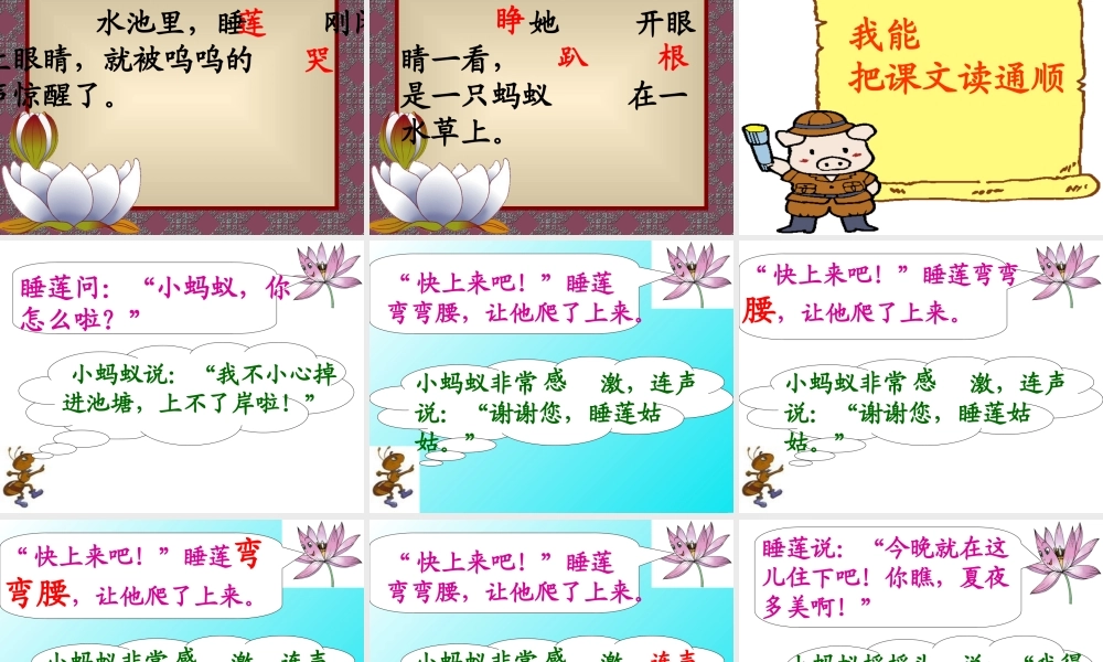 夏夜-多美-第一课时