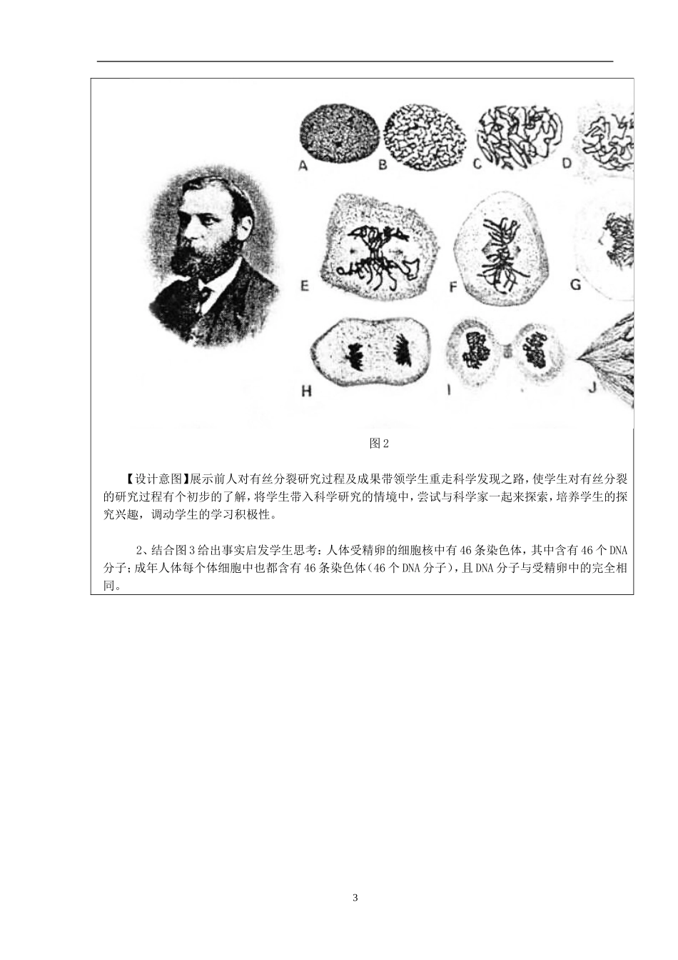 《有丝分裂教学设计》_第3页