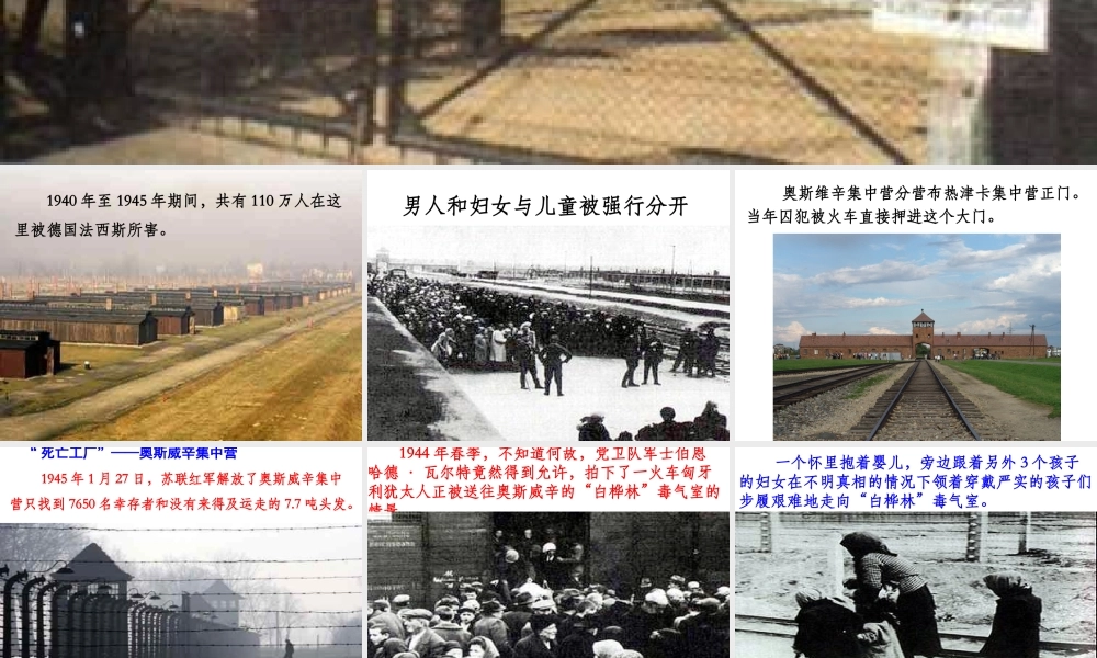 《奥斯维辛没有什么新闻》课件2