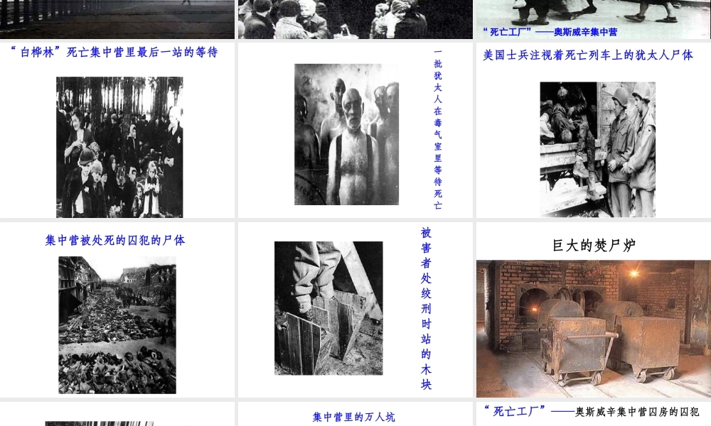 《奥斯维辛没有什么新闻》课件2