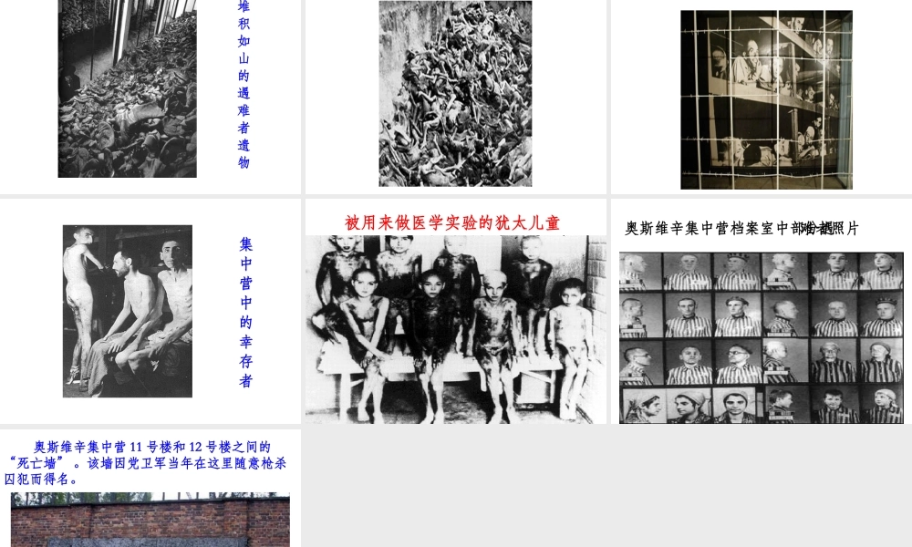 《奥斯维辛没有什么新闻》课件2