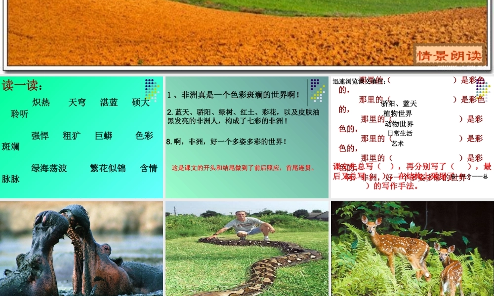 《彩色的非洲》