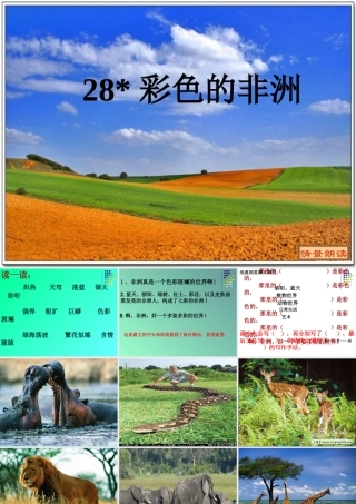 《彩色的非洲》