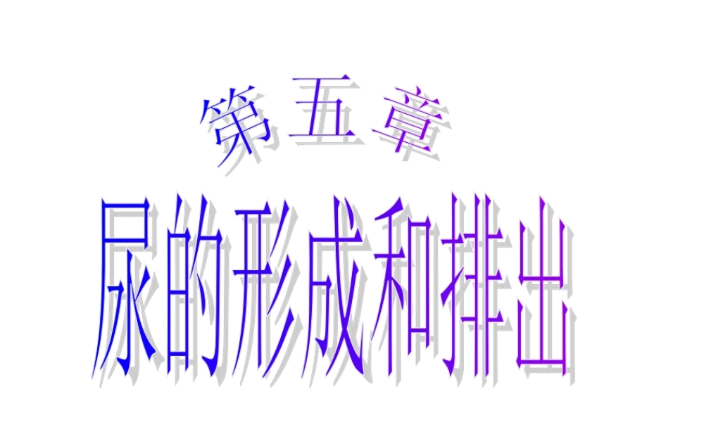 .尿的形成和排出