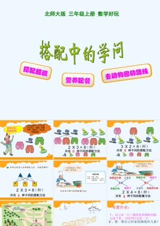 小学数学北师大2011课标版三年级《搭配中的学问》PPT