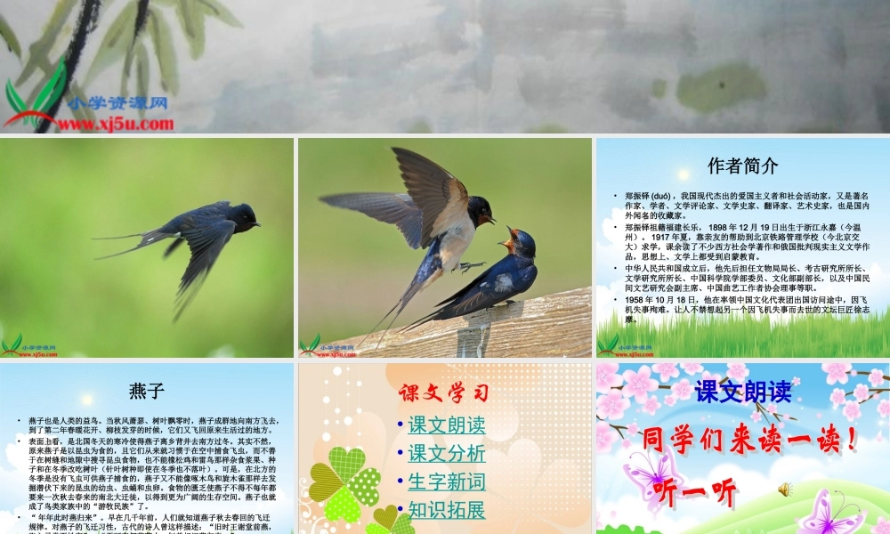 《燕子》PPT课件(苏教版四年级语文下册课件)