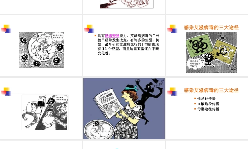 第三节-艾滋病的发生与流行