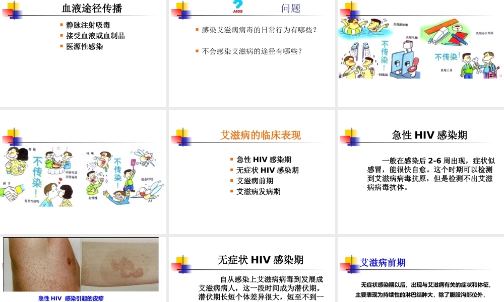 第三节-艾滋病的发生与流行