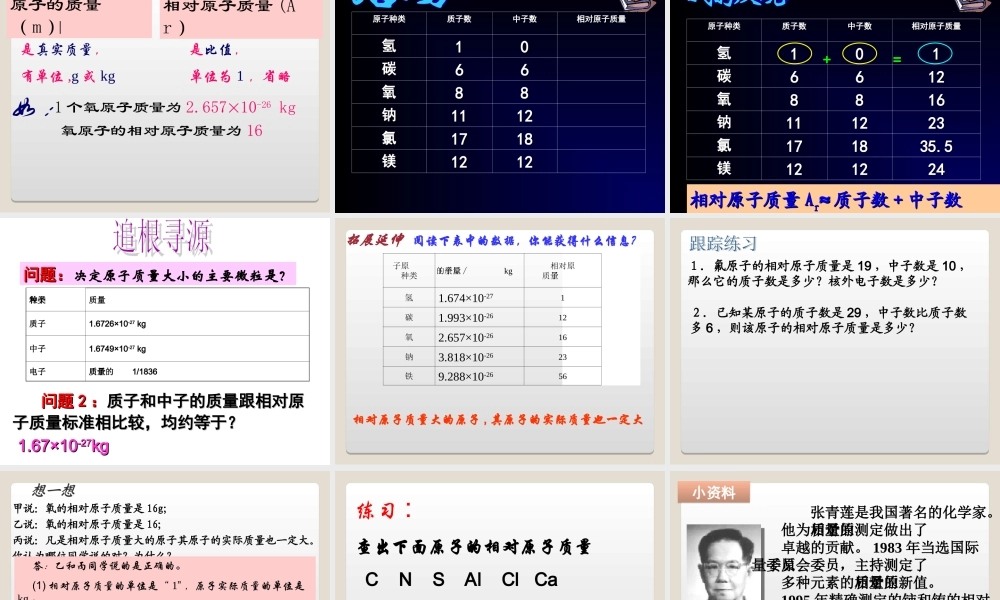 相对原子质量-(2)