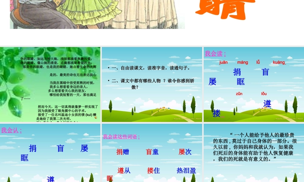 3永生的眼睛课件