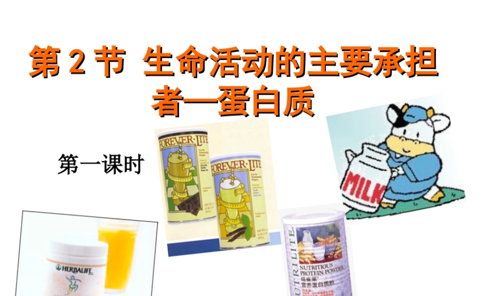 《生命活动的主要承担者———蛋白质》课件
