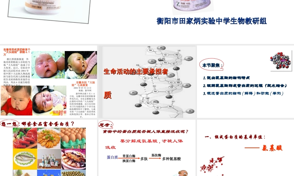 《生命活动的主要承担者———蛋白质》课件