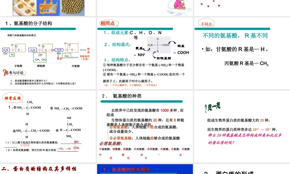 《生命活动的主要承担者———蛋白质》课件