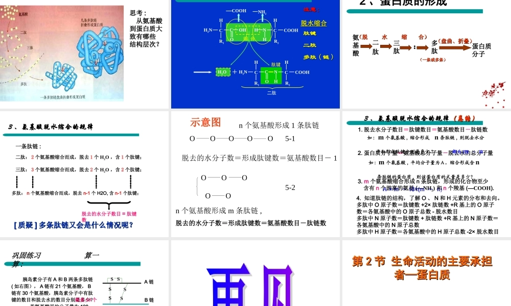 《生命活动的主要承担者———蛋白质》课件