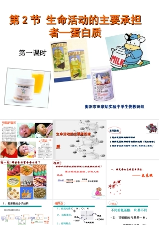 《生命活动的主要承担者———蛋白质》课件