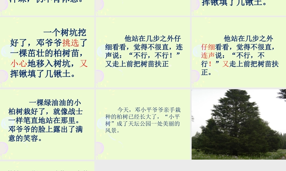 3邓小平爷爷植树