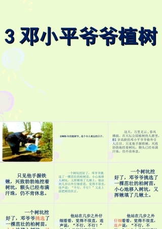 3邓小平爷爷植树