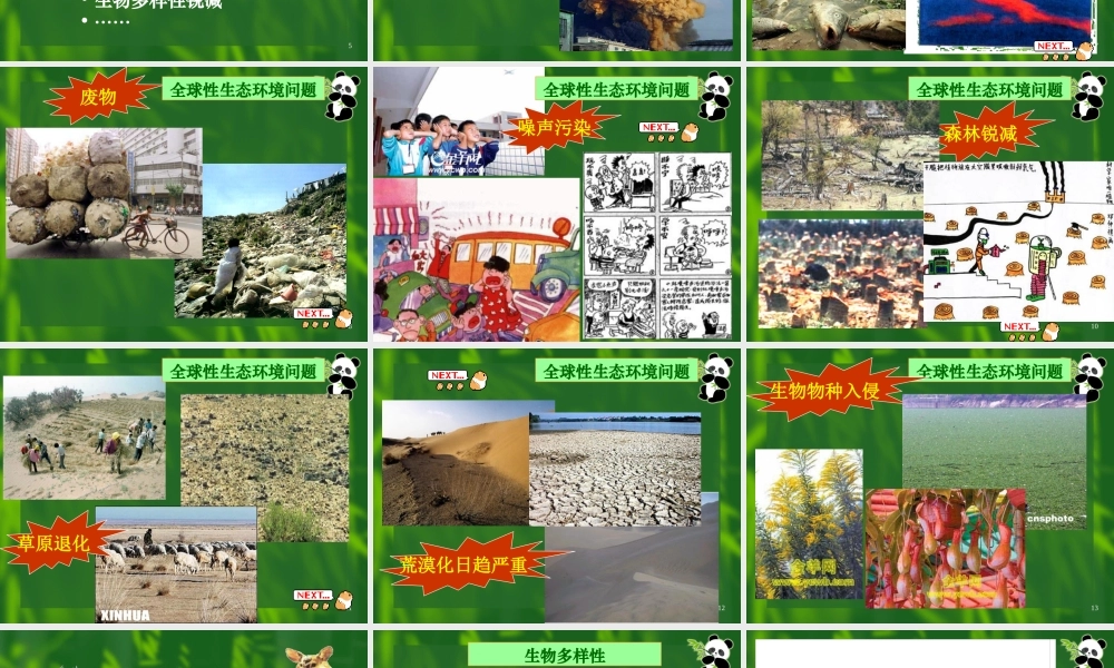 保护我们共同的家园