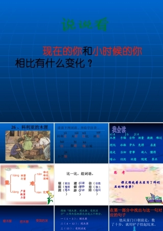 26科利亚的木匣课件