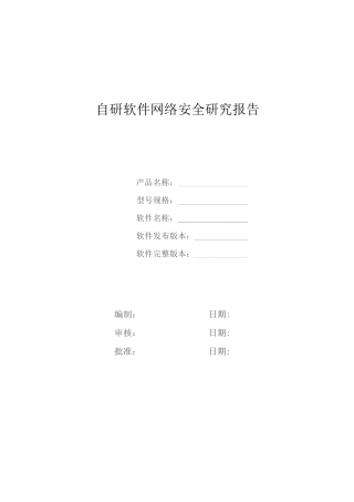 自研软件网络安全研究报告模板