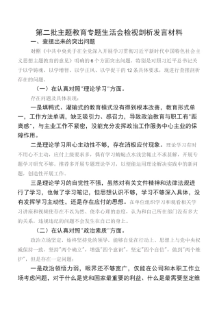第二批专题教育专题生活会检视剖析发言材料