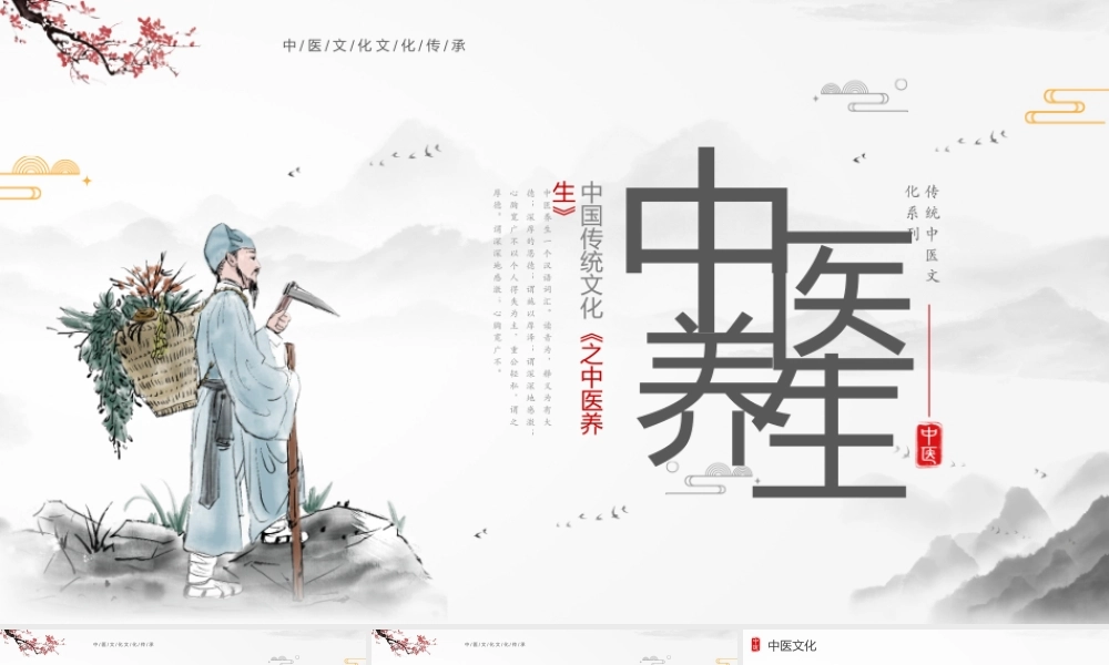 中国传统文化《之中医养生》