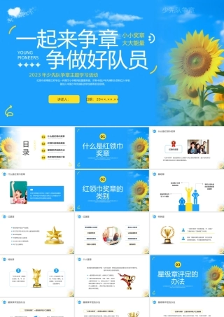 少先队争章主题学习活动