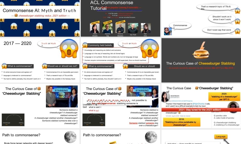 Commonsense AI  Myth and Truth原版完整文件