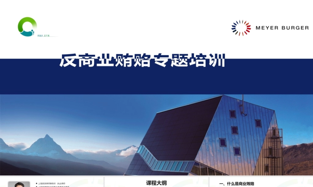 反商业贿赂专题培训