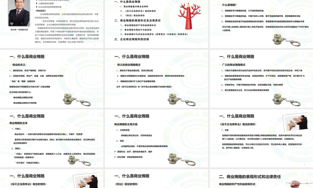 反商业贿赂专题培训