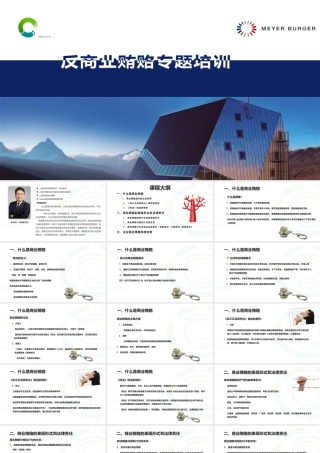 反商业贿赂专题培训