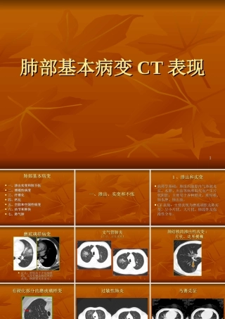 肺部基本病变CT表现课件