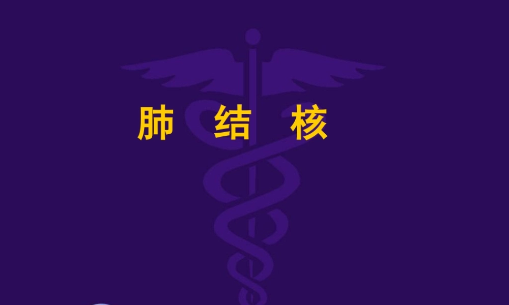 肺结核完整课件