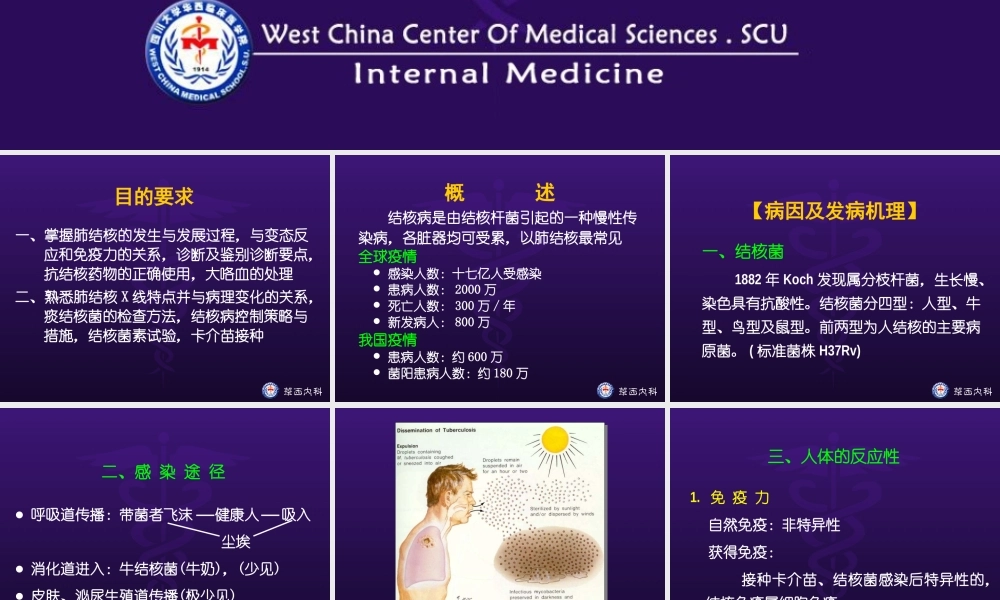 肺结核完整课件