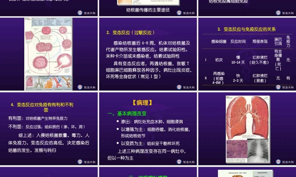 肺结核完整课件
