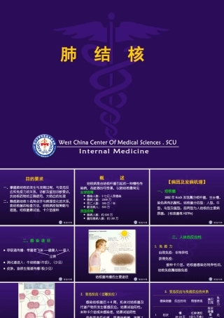 肺结核完整课件