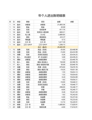 个人进出账明细表