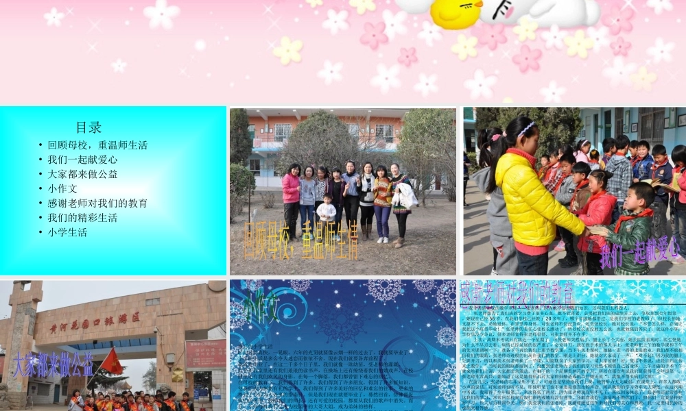 丰富多彩的小学生活