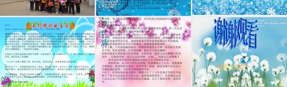 丰富多彩的小学生活