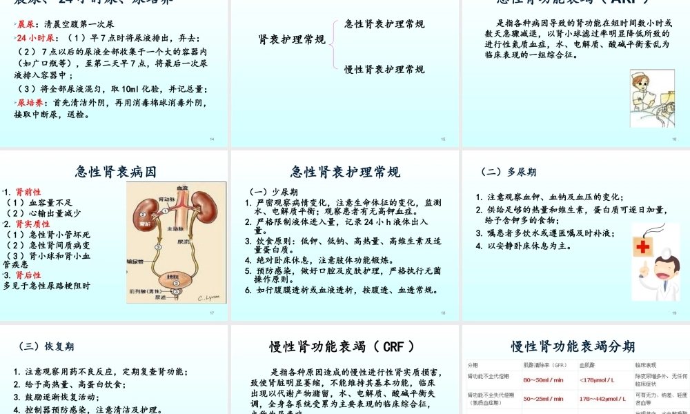 肾内科护理常规课件