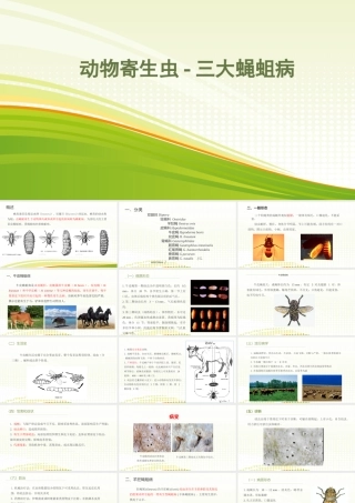 动物寄生虫-三大蝇蛆病