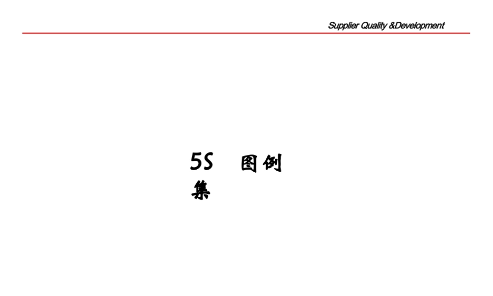 工厂5S执行方案课件