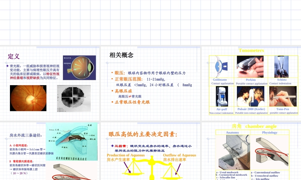 临床知识_眼科学_课件_青光眼