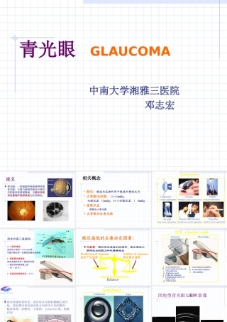 临床知识_眼科学_课件_青光眼