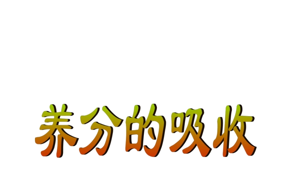 植物营养学课件-_养分的吸收