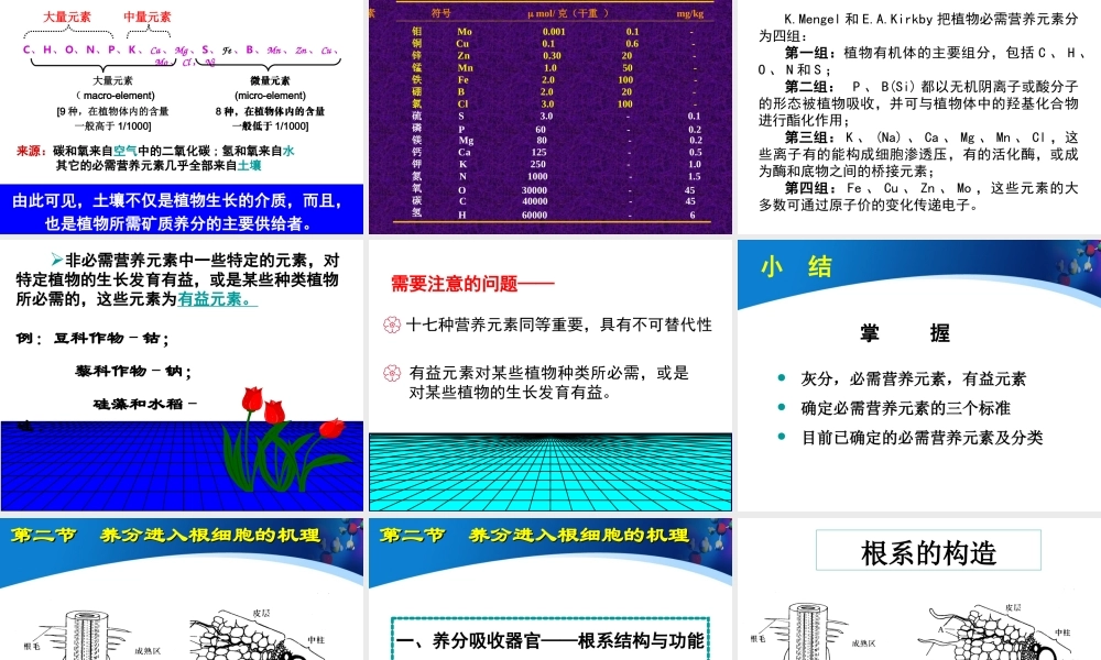 植物营养学课件-_养分的吸收