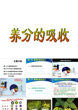 植物营养学课件-_养分的吸收