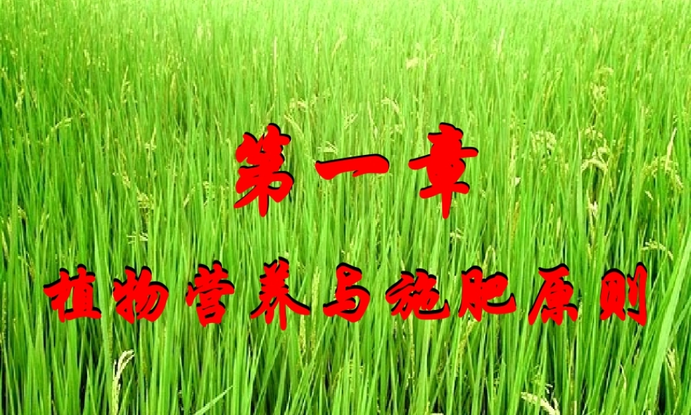 植物营养学课件