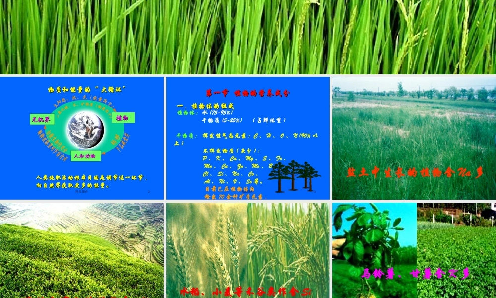 植物营养学课件