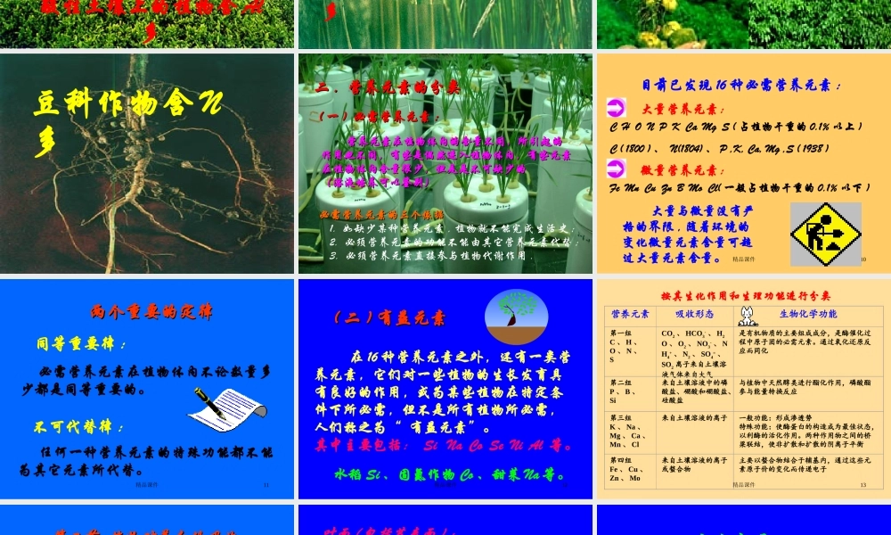 植物营养学课件